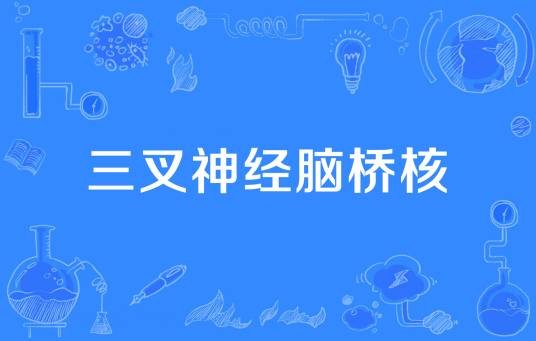三叉神经脑桥核