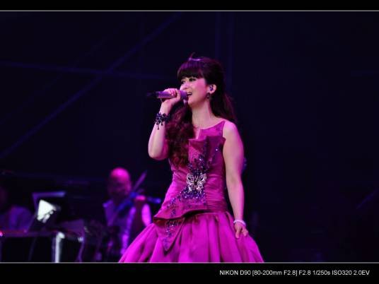 2011孟庭苇广州演唱会