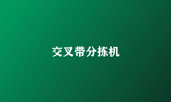 交叉带分拣机