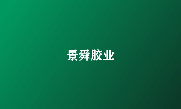 景舜胶业