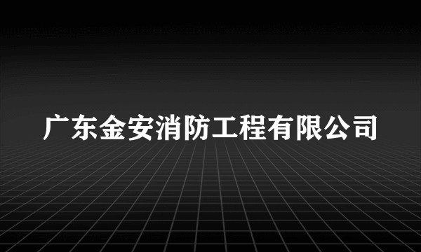 广东金安消防工程有限公司