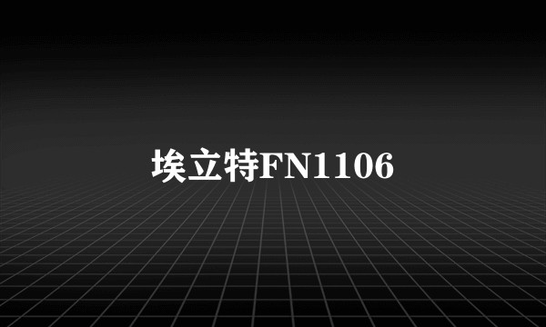 埃立特FN1106