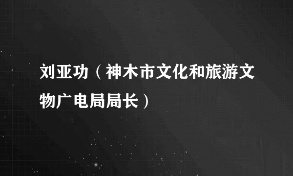 刘亚功（神木市文化和旅游文物广电局局长）