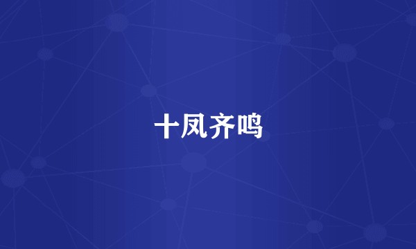 十凤齐鸣