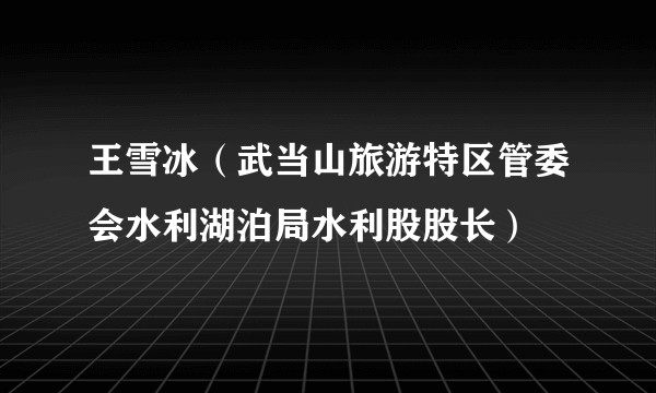 王雪冰（武当山旅游特区管委会水利湖泊局水利股股长）