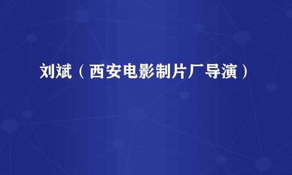 刘斌（西安电影制片厂导演）