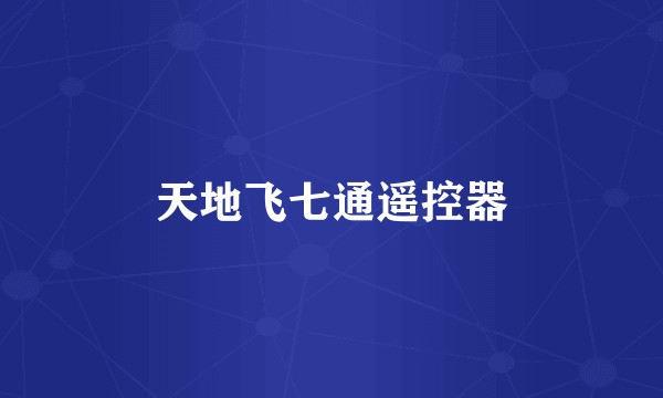 天地飞七通遥控器