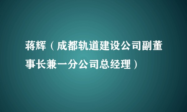 蒋辉（成都轨道建设公司副董事长兼一分公司总经理）