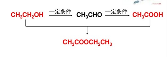 羧酸酯
