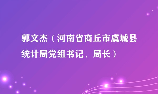 郭文杰（河南省商丘市虞城县统计局党组书记、局长）