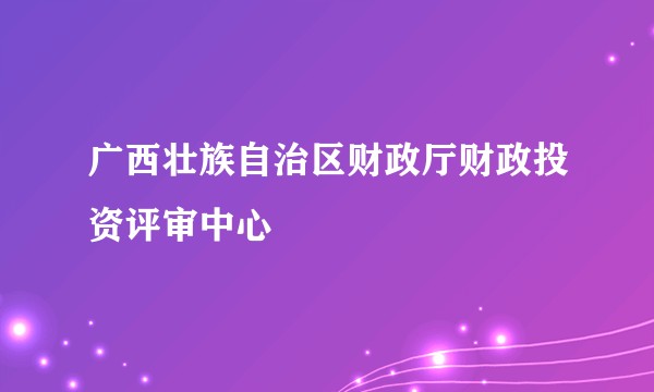 广西壮族自治区财政厅财政投资评审中心