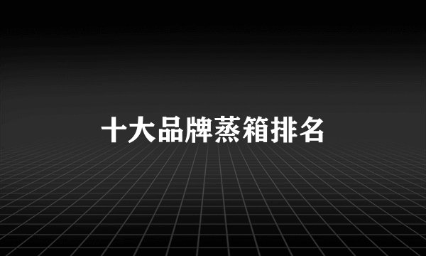 十大品牌蒸箱排名