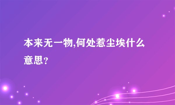 本来无一物,何处惹尘埃什么意思？
