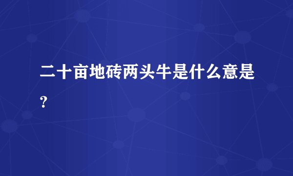 二十亩地砖两头牛是什么意是？