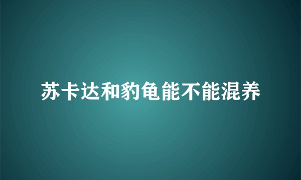 苏卡达和豹龟能不能混养