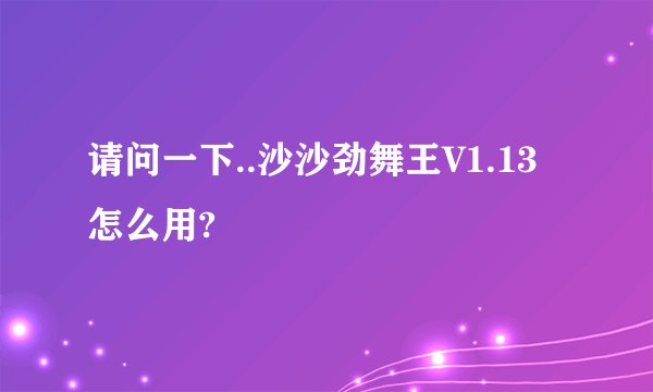 请问一下..沙沙劲舞王V1.13怎么用?