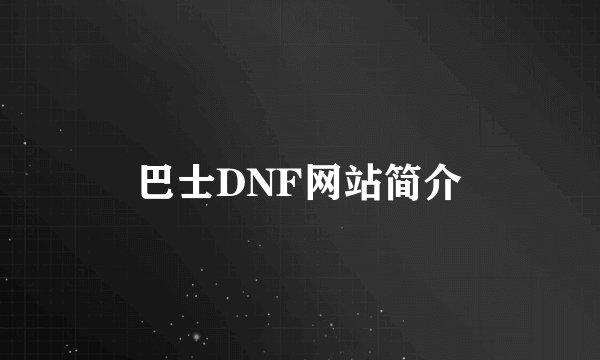 巴士DNF网站简介