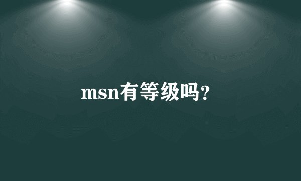 msn有等级吗？