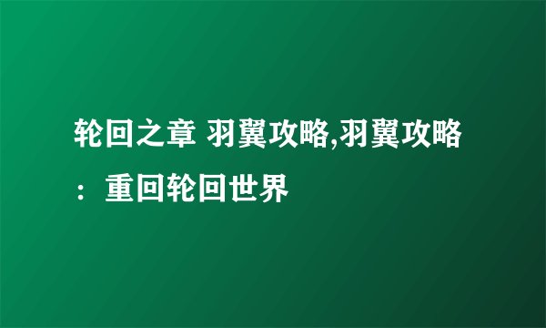轮回之章 羽翼攻略,羽翼攻略：重回轮回世界