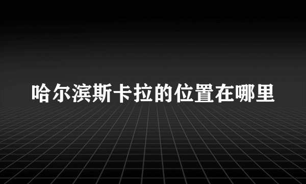 哈尔滨斯卡拉的位置在哪里