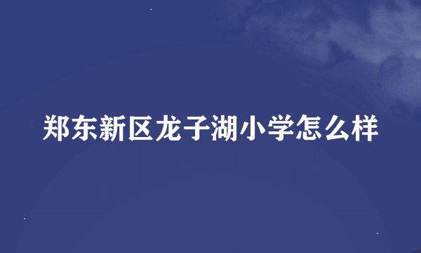 郑东新区龙子湖小学怎么样