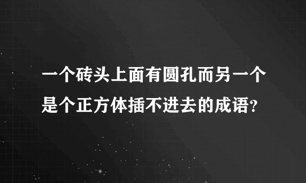 一个砖头上面有圆孔而另一个是个正方体插不进去的成语？