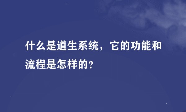什么是道生系统，它的功能和流程是怎样的？