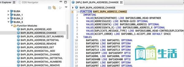 什么是 SAP BAPI
