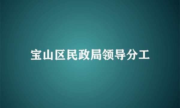 宝山区民政局领导分工