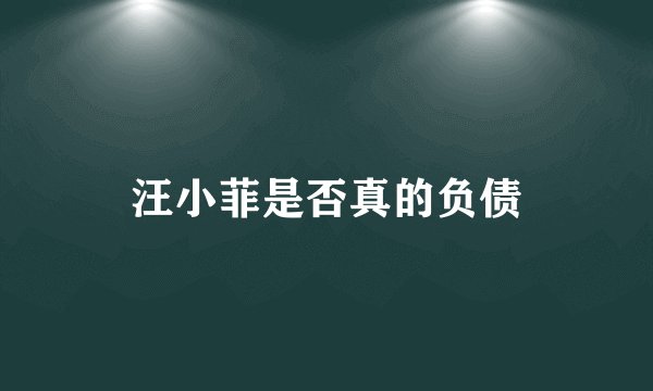 汪小菲是否真的负债