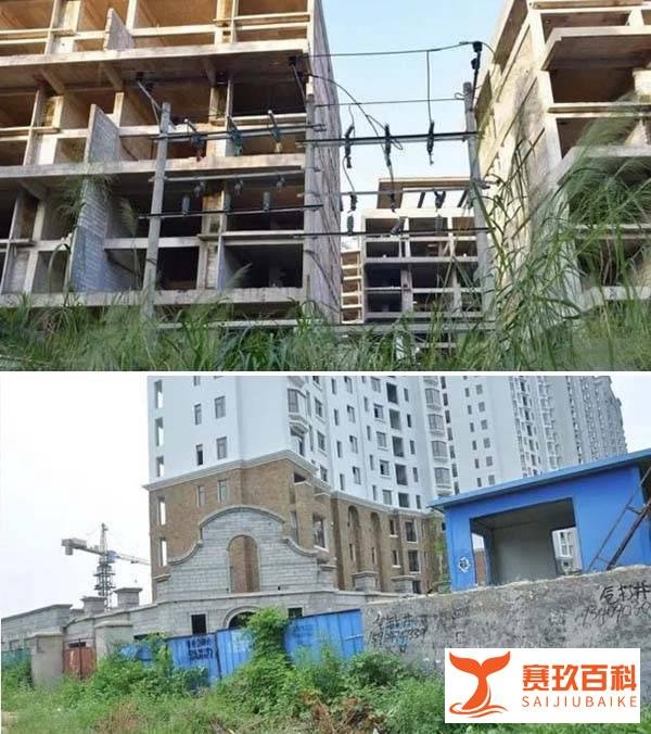 山东巨野“被破产”企业直指县委领导做局“套路贷”