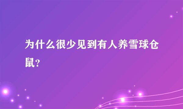为什么很少见到有人养雪球仓鼠？