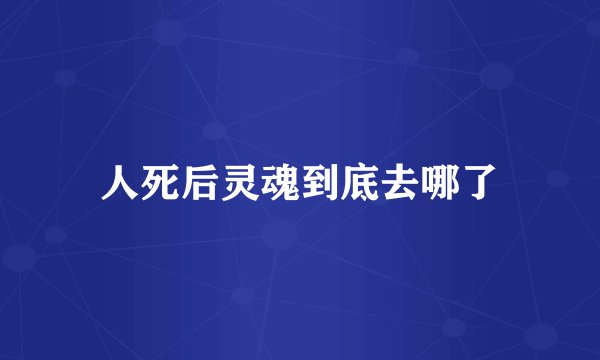 人死后灵魂到底去哪了