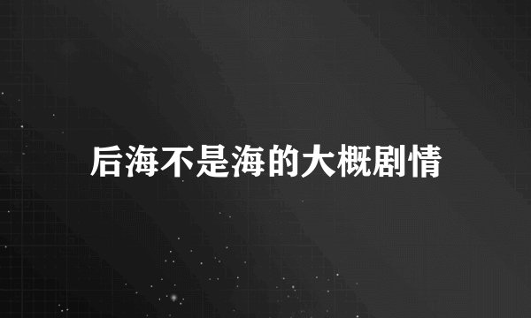 后海不是海的大概剧情