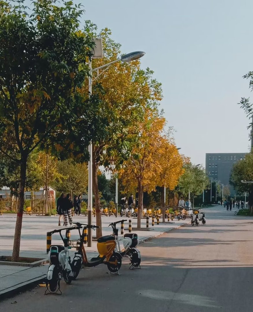 灵格风中英文学校学费