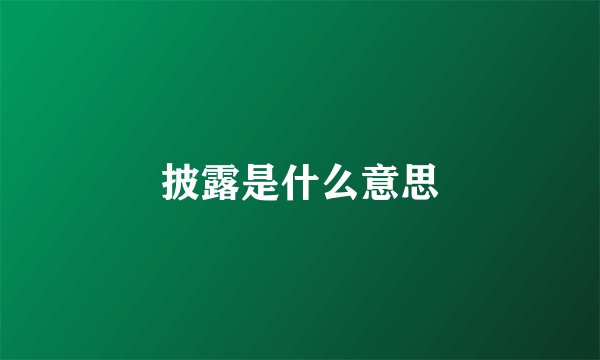 披露是什么意思