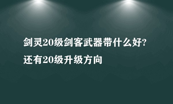 剑灵20级剑客武器带什么好?还有20级升级方向