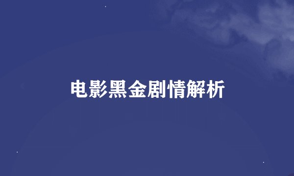 电影黑金剧情解析
