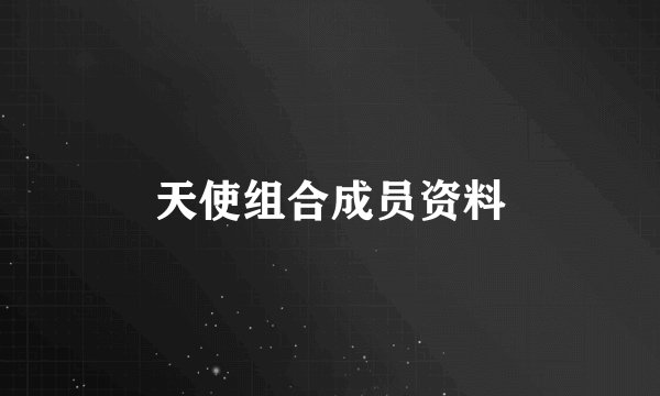 天使组合成员资料
