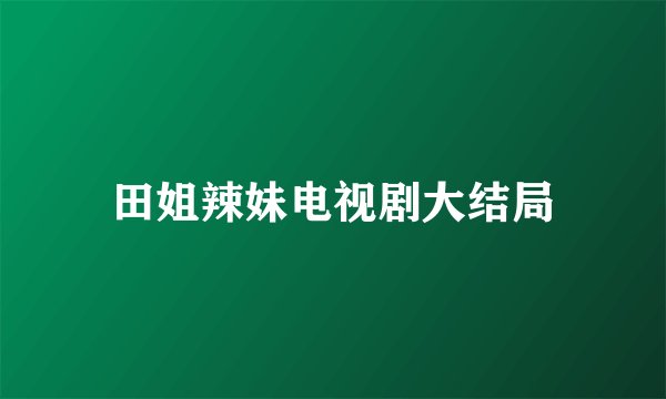 田姐辣妹电视剧大结局