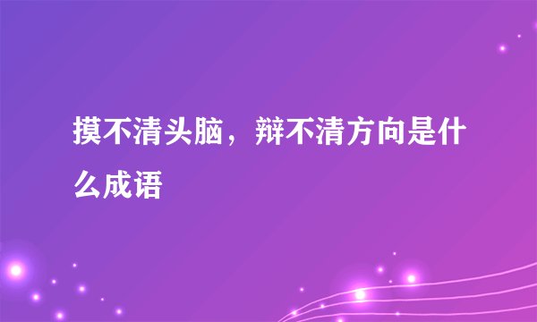 摸不清头脑，辩不清方向是什么成语