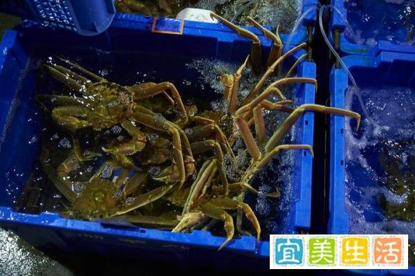 论语中的孔子│“己所不欲，勿施于人”教我们的做人道理
