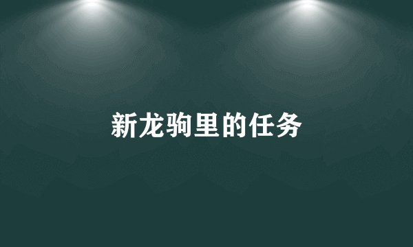 新龙驹里的任务