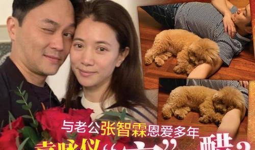 岳云鹏老婆没找到合影错过卡点庆生 到底什么情况?