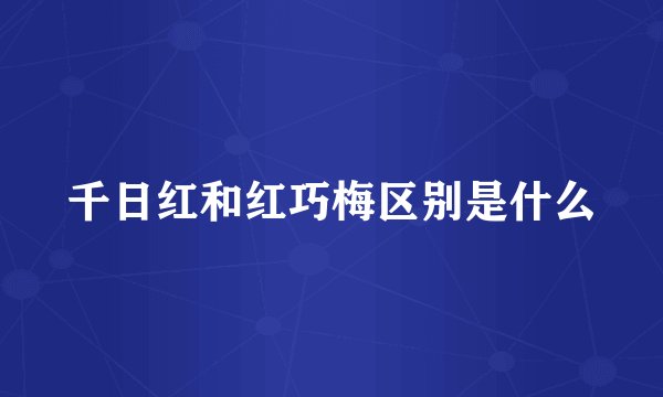 千日红和红巧梅区别是什么