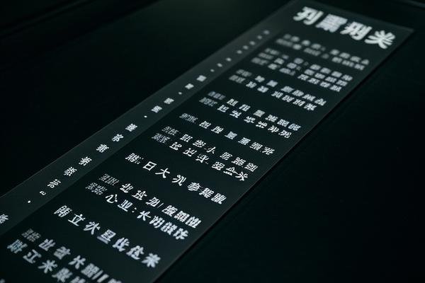 罪罚演员表全部名单