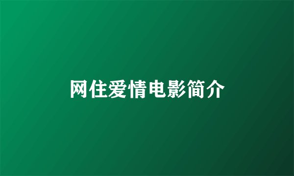 网住爱情电影简介