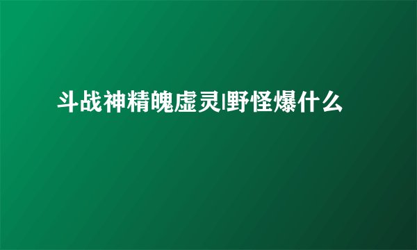 斗战神精魄虚灵|野怪爆什么