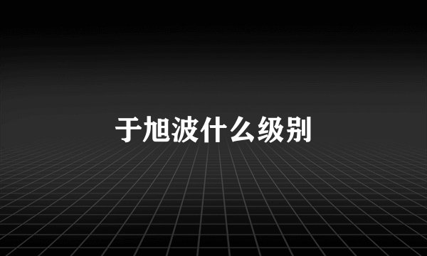 于旭波什么级别