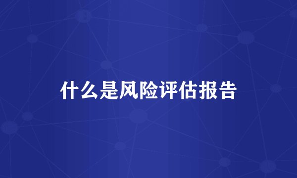 什么是风险评估报告